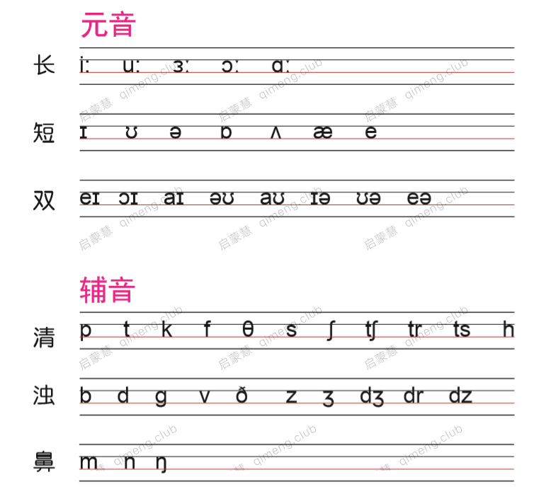 小学英语《国际音标速读宝典》完整的音标课程 国际音标表+书写练习本+速读宝典+字母组合发音卡片+48个音标讲解教程