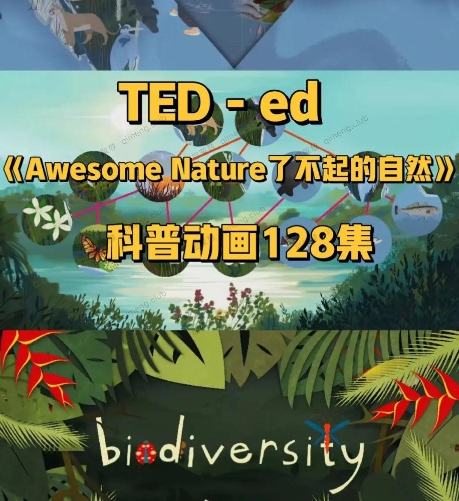 128集TED-ed 新系列硬核科普动画《Awesome Nature》了不起的自然 带外挂字幕文件