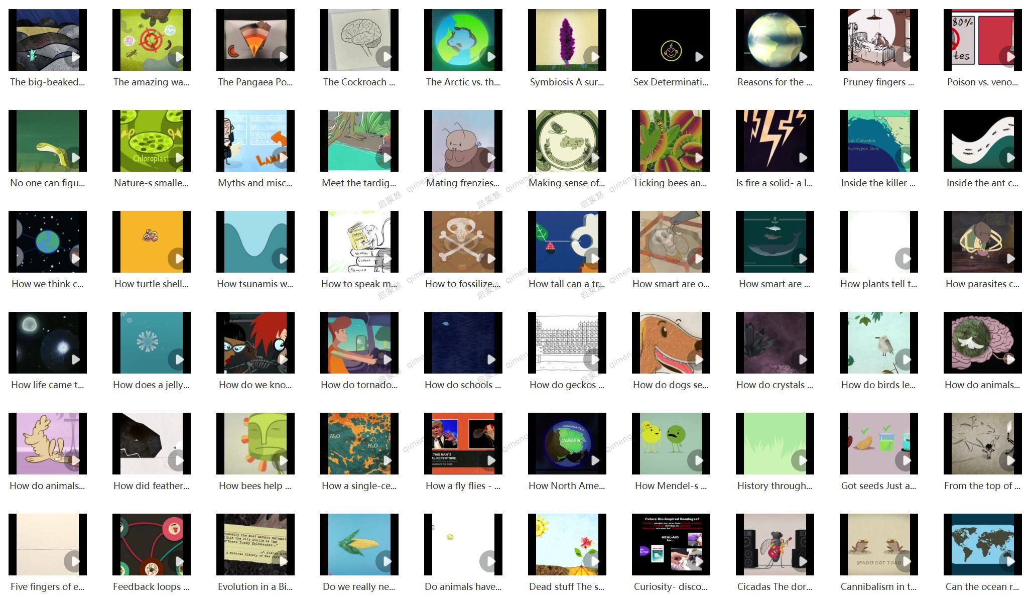 128集TED-ed 新系列硬核科普动画《Awesome Nature》了不起的自然 带外挂字幕文件